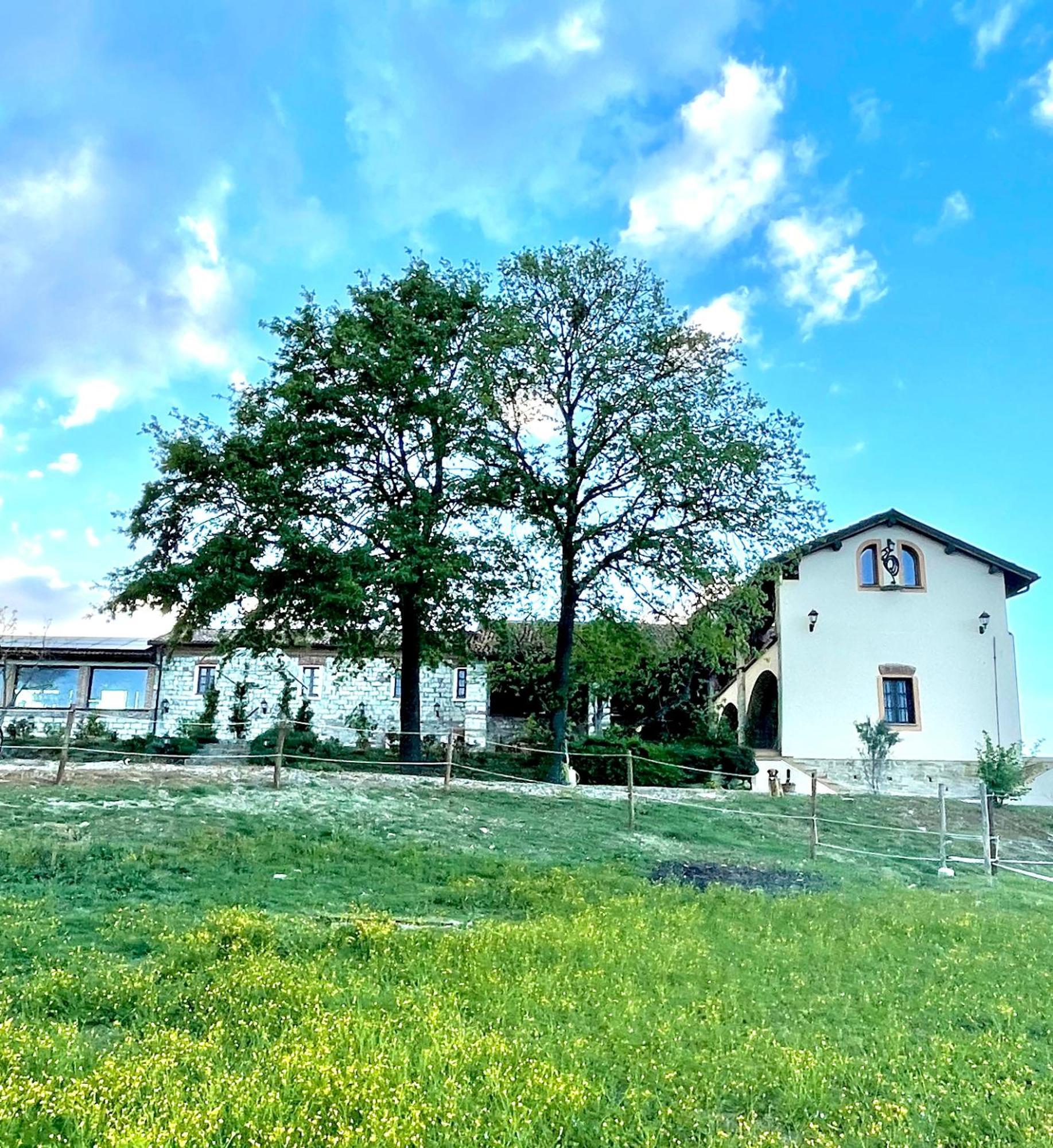 B&B Tenuta Il Galletto Casale Monferrato Buitenkant foto